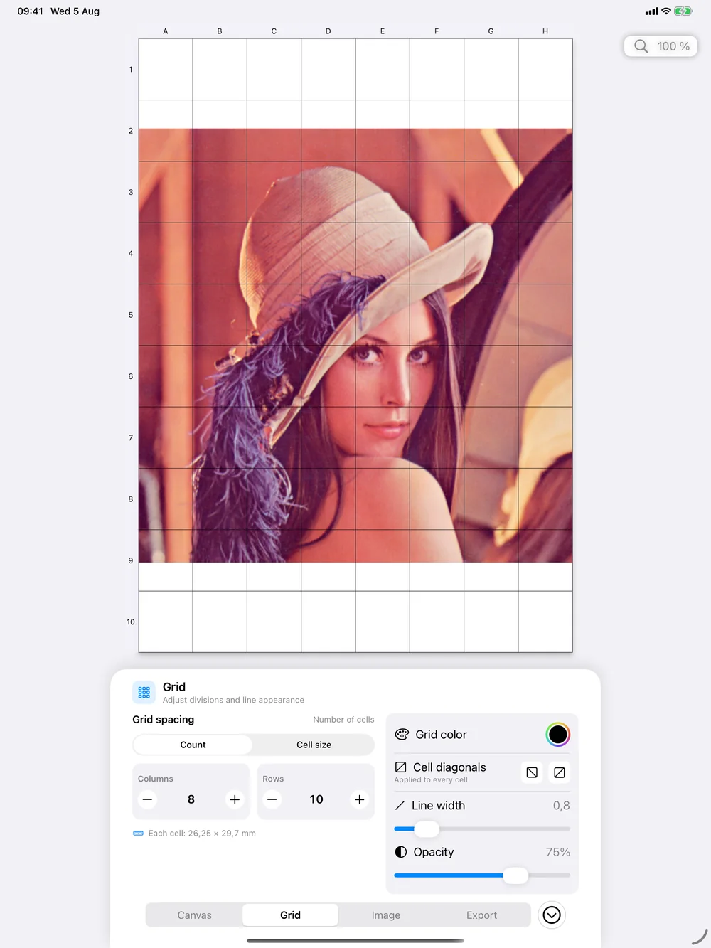 Drawing Grid Grid inspector on iPad with the Lenna reference image